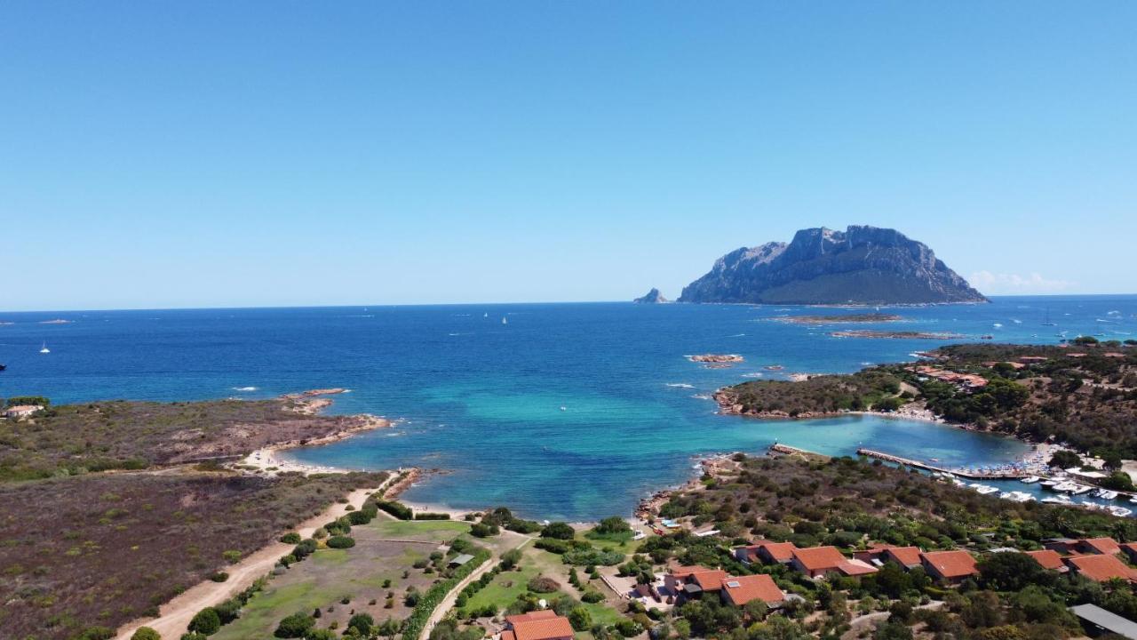 Casa Costa Corallina Mare Holiday home Olbia