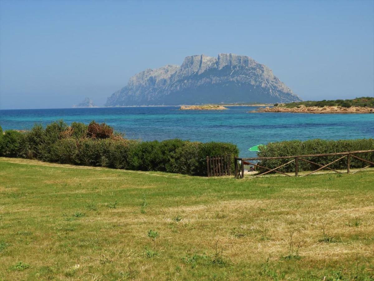 Casa Costa Corallina Mare Holiday home Olbia